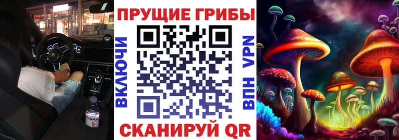 где купить наркоту  Прокопьевск  Галлюциногенные грибы Magic Shrooms 